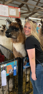 Llama